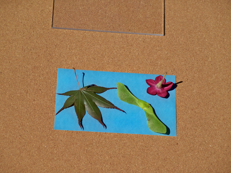slideshow